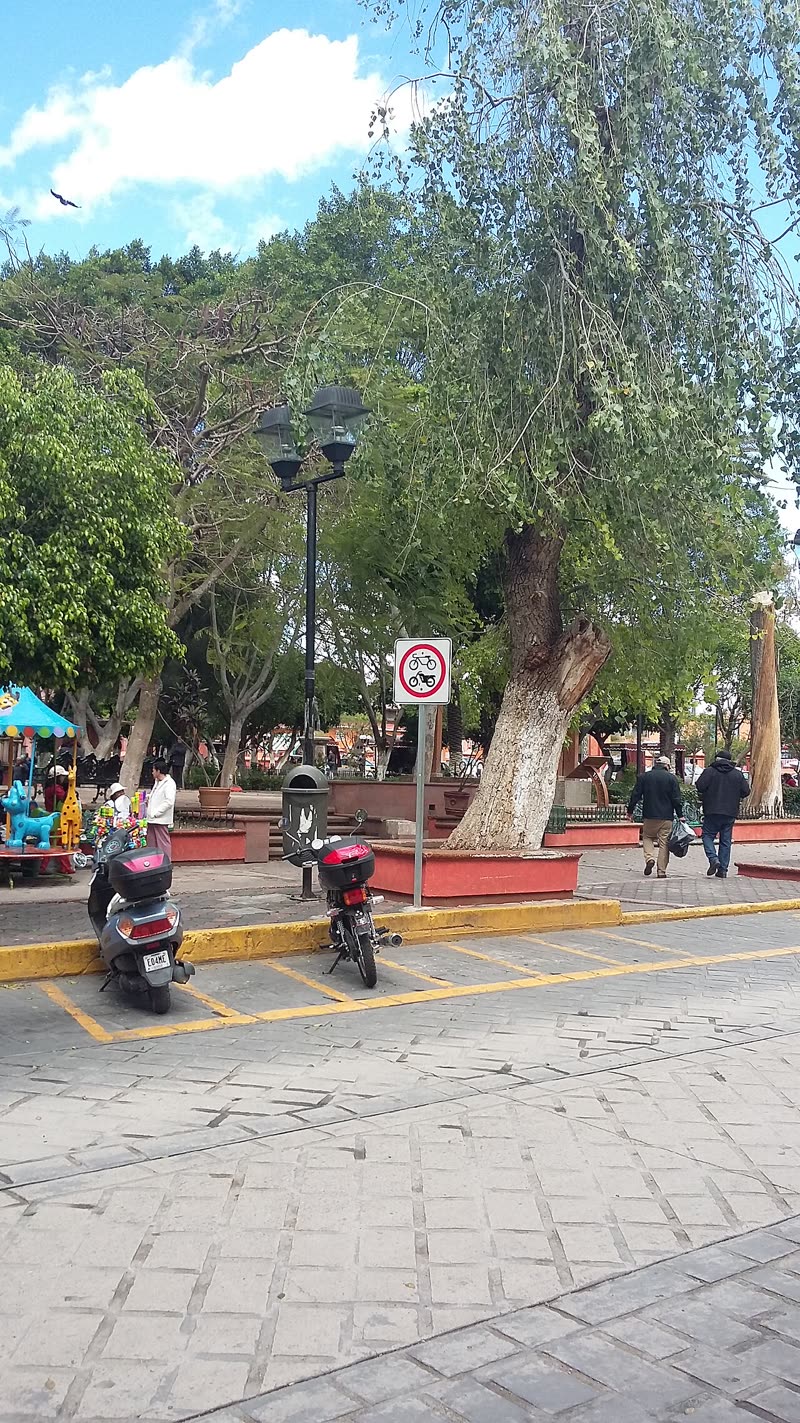 El jardín del centro de Huajuapan, con sus árboles y dos motos estacionadas